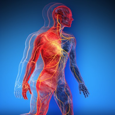 Improve Blood Circulation with RedLight – SpectraHeal